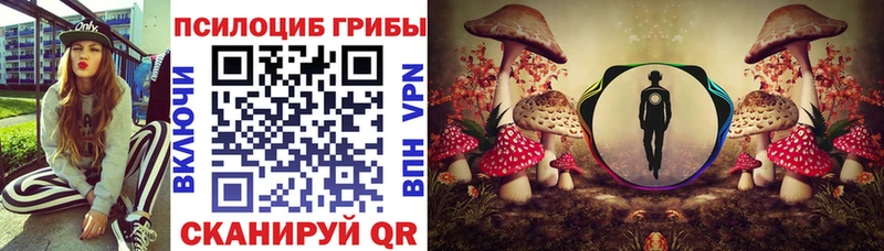 kraken рабочий сайт Великий Новгород Псилоцибиновые грибы прущие грибы