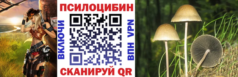 Галлюциногенные грибы Psilocybine cubensis Великий Новгород